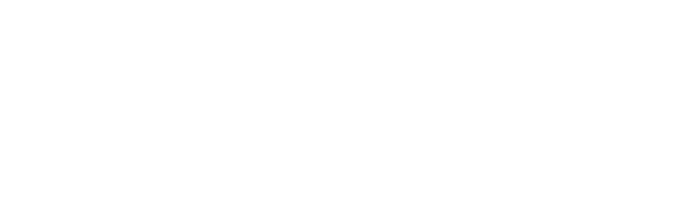 VanGo Vapes